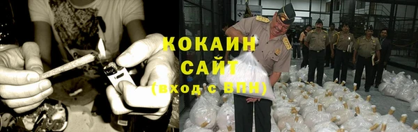 дмт Бикин