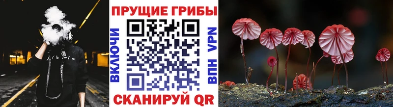 дарк нет официальный сайт Первоуральск Галлюциногенные грибы ЛСД цены гидра сайт